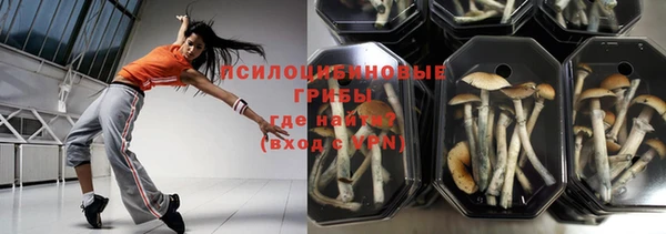 мяу мяу мука Нязепетровск
