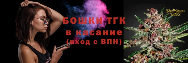 меф Няндома